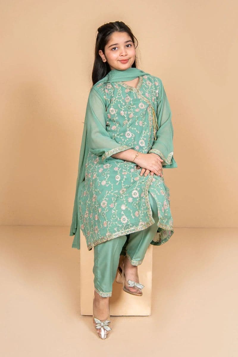 Chiffon Embroidered 3 Pc Suit thumbnail