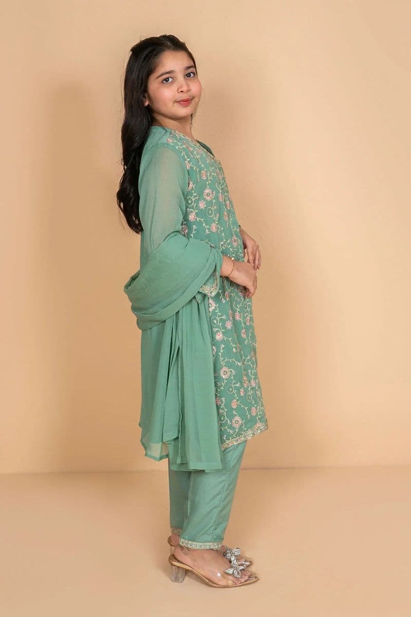 Chiffon Embroidered 3 Pc Suit thumbnail