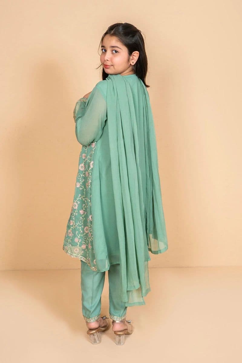 Chiffon Embroidered 3 Pc Suit thumbnail