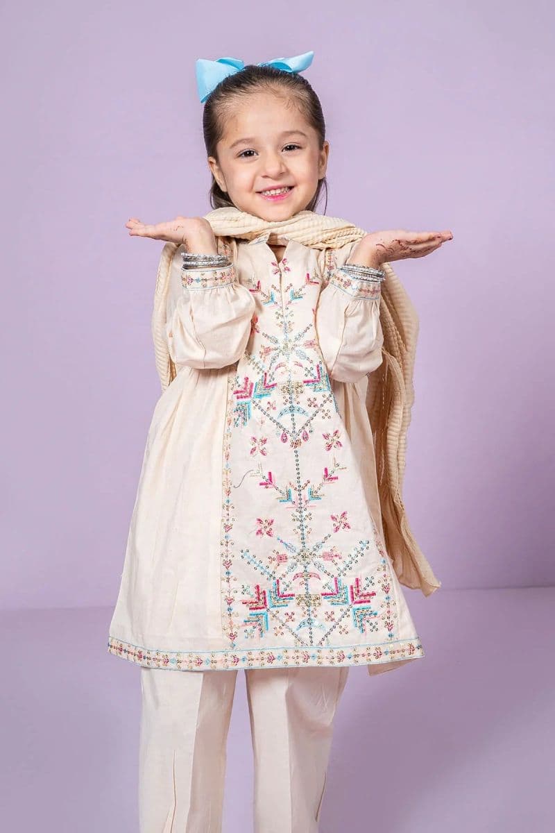 Cotton Embroidered 3 Pc Suit thumbnail