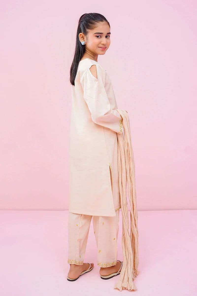 Cotton Embroidered 3 Pc Suit thumbnail