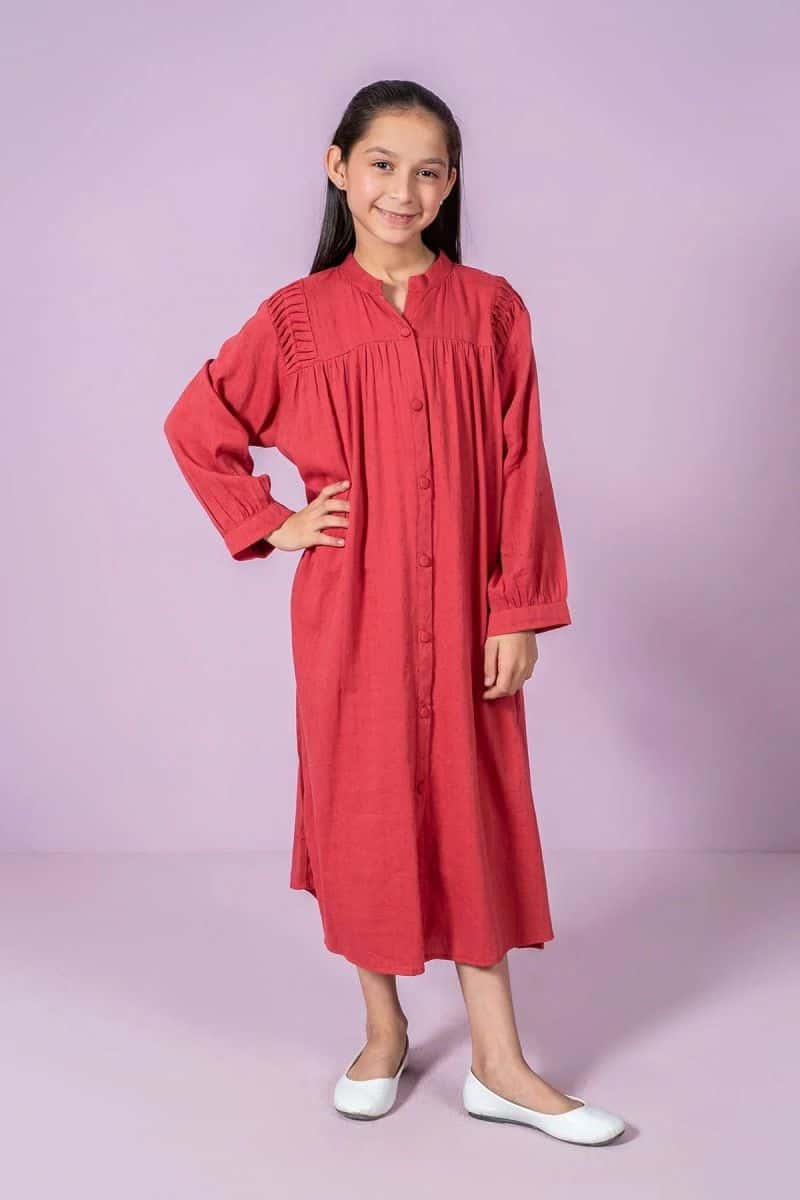 Chambray Cotton Dress