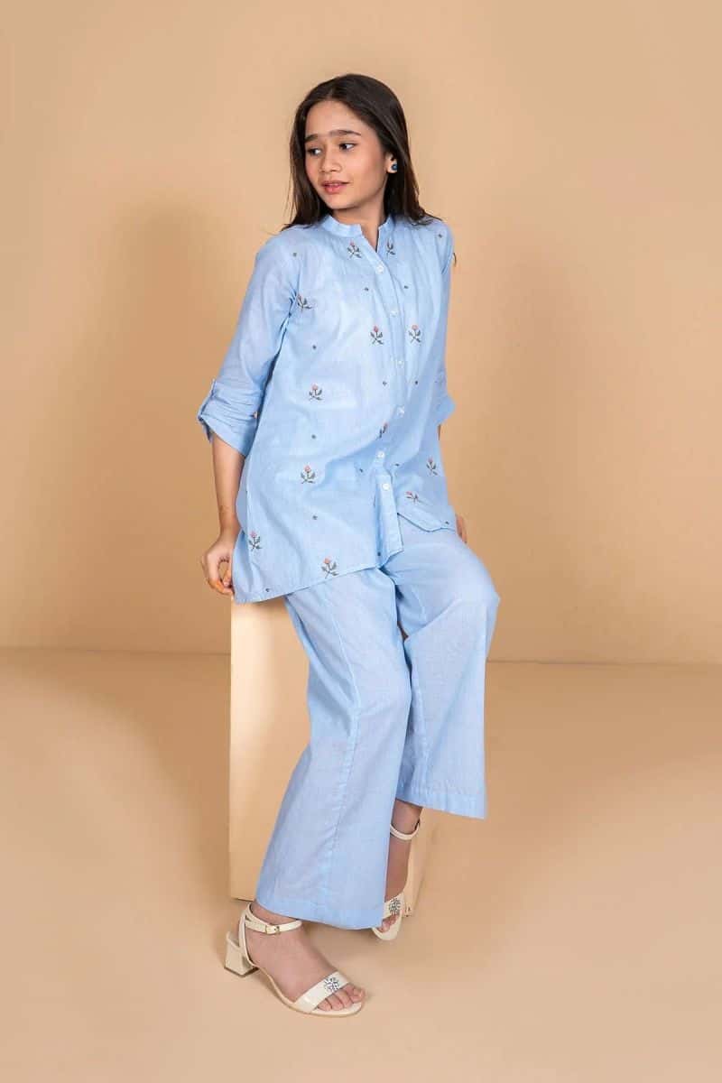 Chambray Cotton Embroidered 2 Pc Suit - alternate view