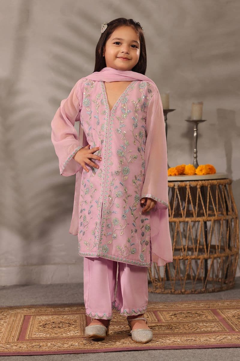 Chiffon Embroidered 3 Pc Suit thumbnail