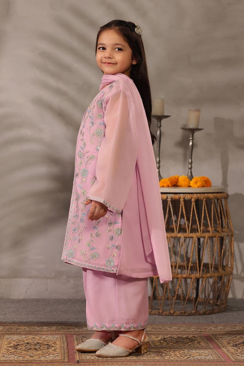 Chiffon Embroidered 3 Pc Suit thumbnail