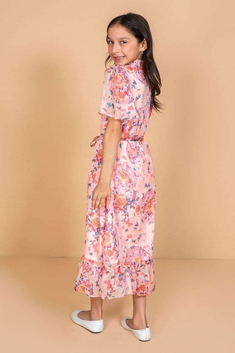 Chiffon Printed Dress thumbnail