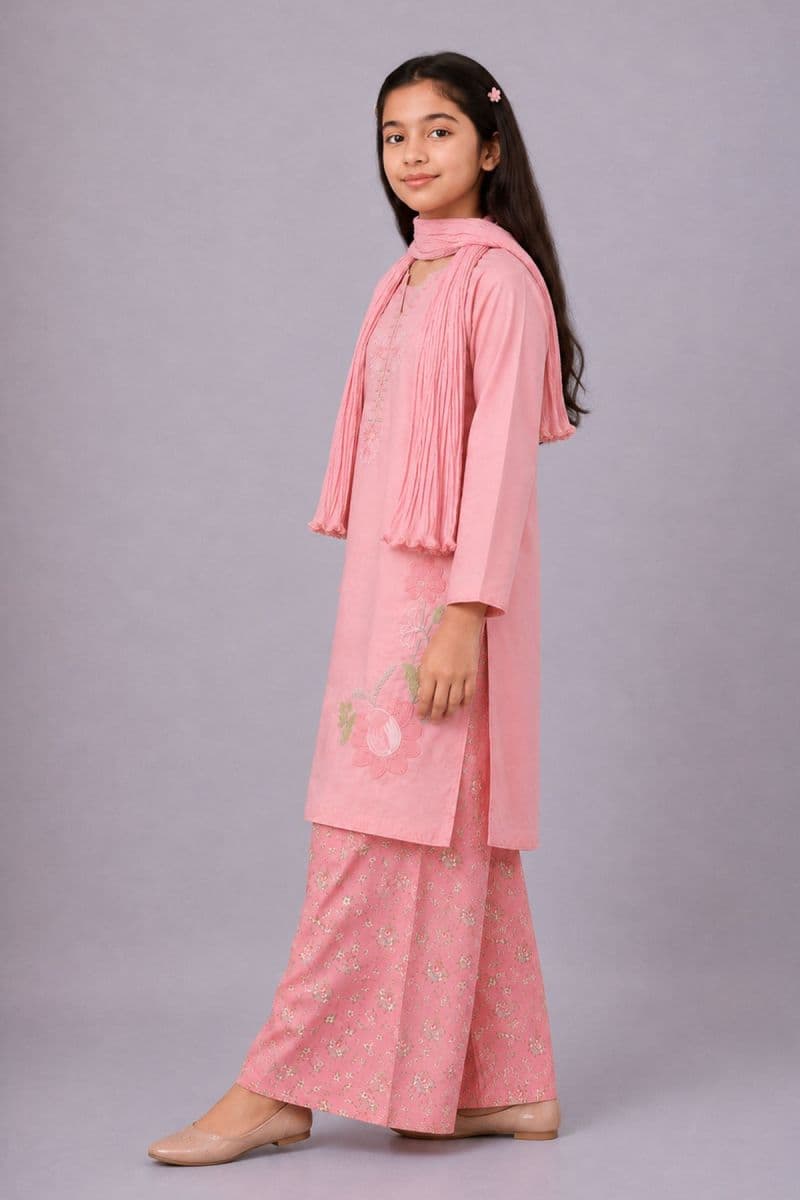 Cotton Embroidered 3 Pc Suit thumbnail