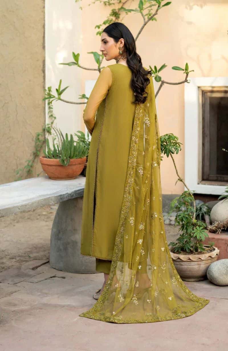 Embroidered Raw Silk Ready-to-Wear Suit (HW-06) - alternate view