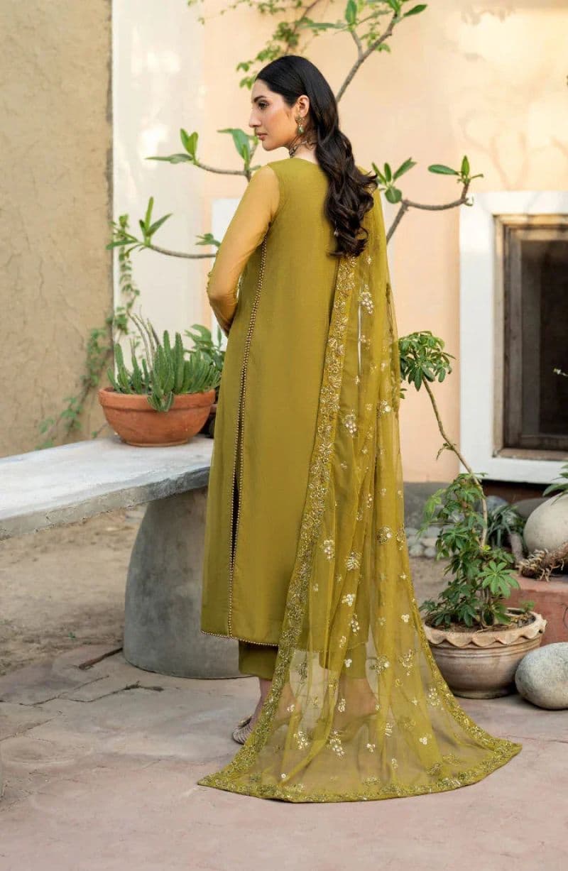 Embroidered Raw Silk Ready-to-Wear Suit (HW-06) thumbnail